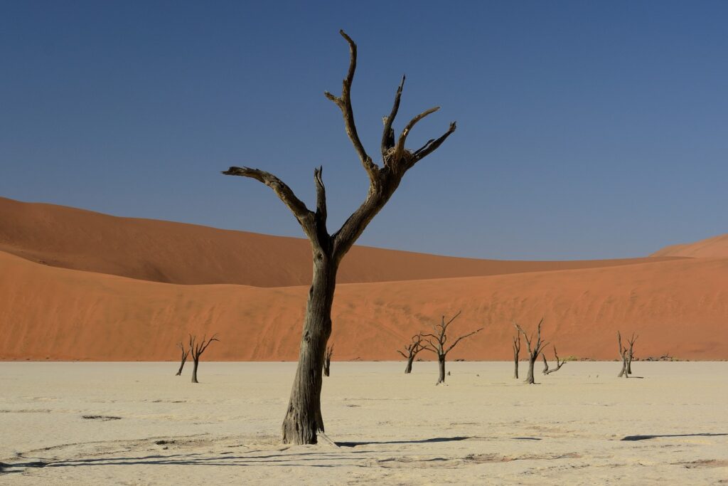 Namibia Wüste Ozeanien Tours